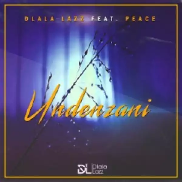 Dlala Lazz - Undenzani ft. Peace